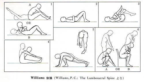 Williams体操