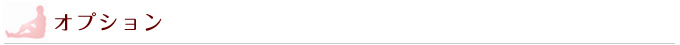 オプション