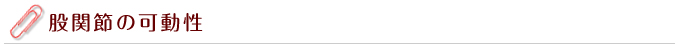 股関節の可動性