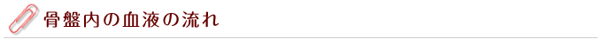 骨盤内の血液の流れ