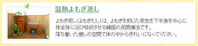 温熱よもぎ蒸し